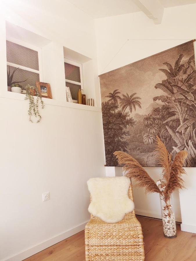 Le Studio Cosy - Labenne Exteriér fotografie
